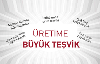 Devlet Teşvikleri ve Destekleri